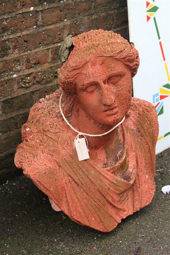 Bust